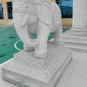 自贡 白麻花岗岩动物异形石雕-大象