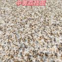 自贡黄金麻中黄荔枝面
