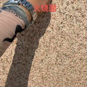 自贡黄金麻火烧面