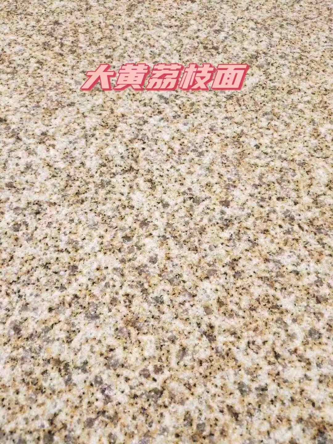 自贡黄金麻大黄荔枝面