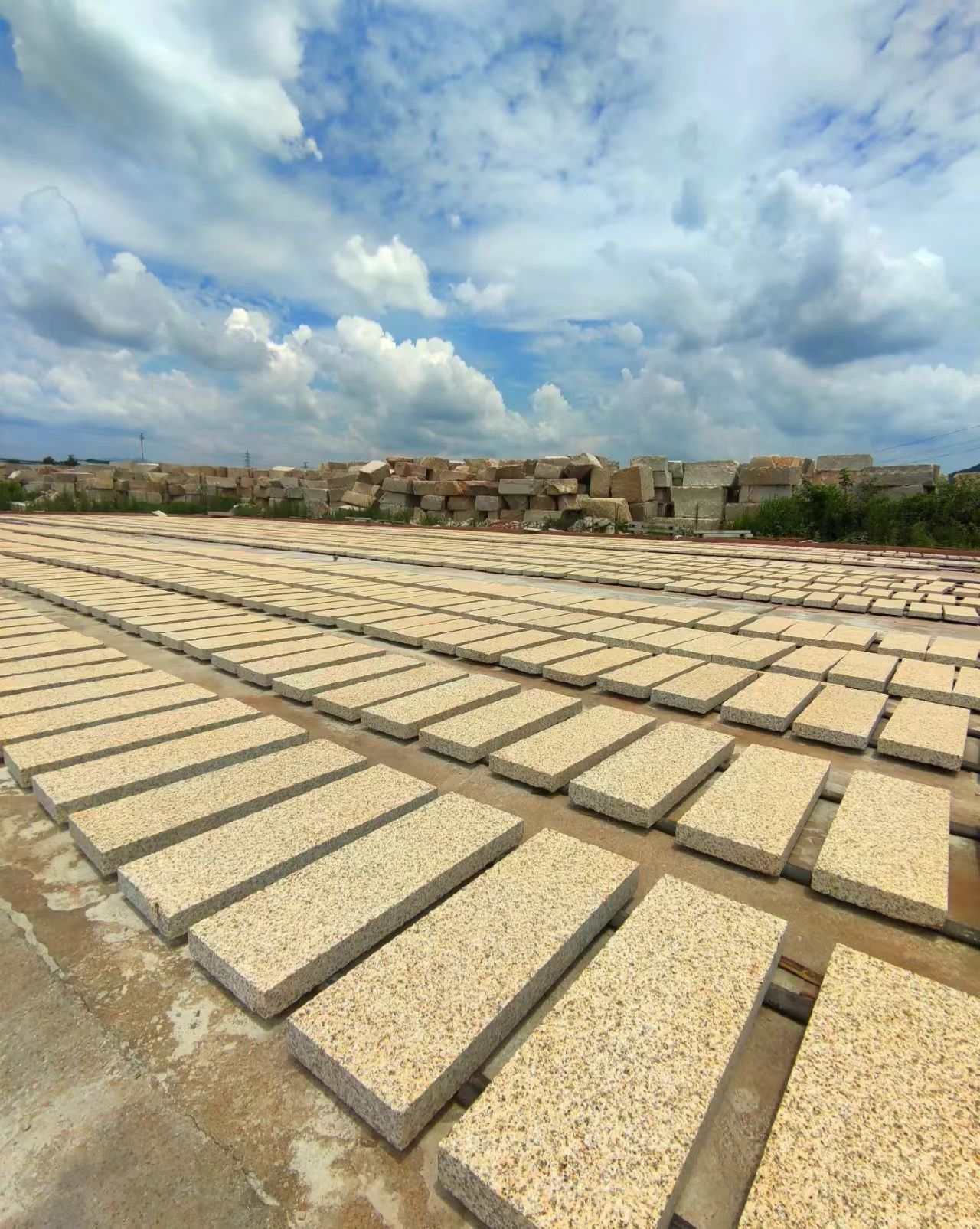 自贡 黄金麻花岗岩荔枝面地铺石防护中