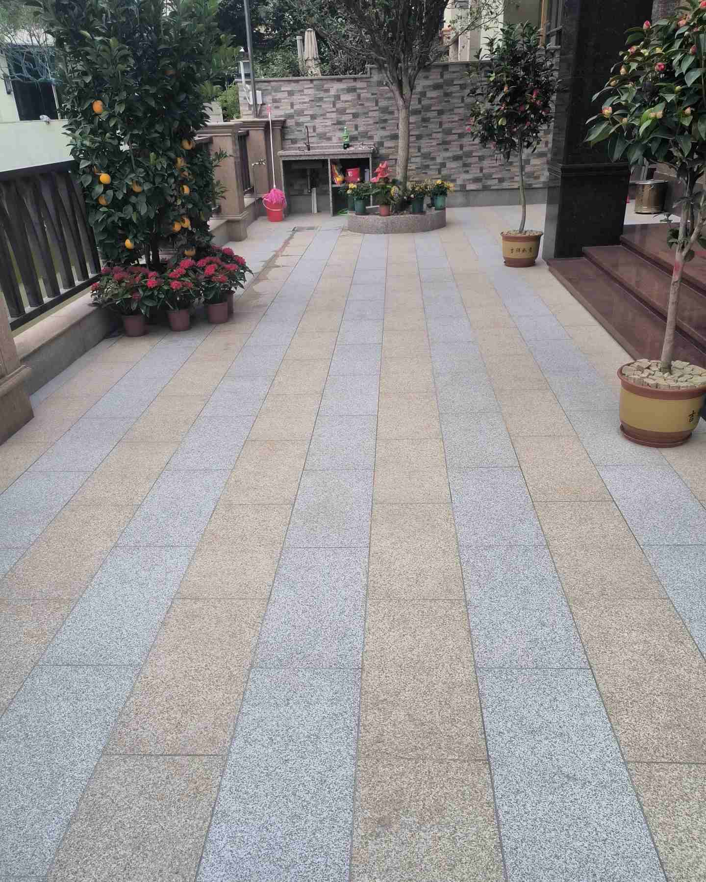 自贡 黄金麻白麻荔枝面庭院铺装展示