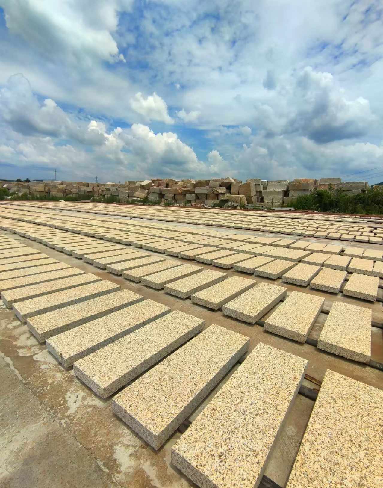 自贡 黄金麻荔枝面花岗岩石材地铺石防护中